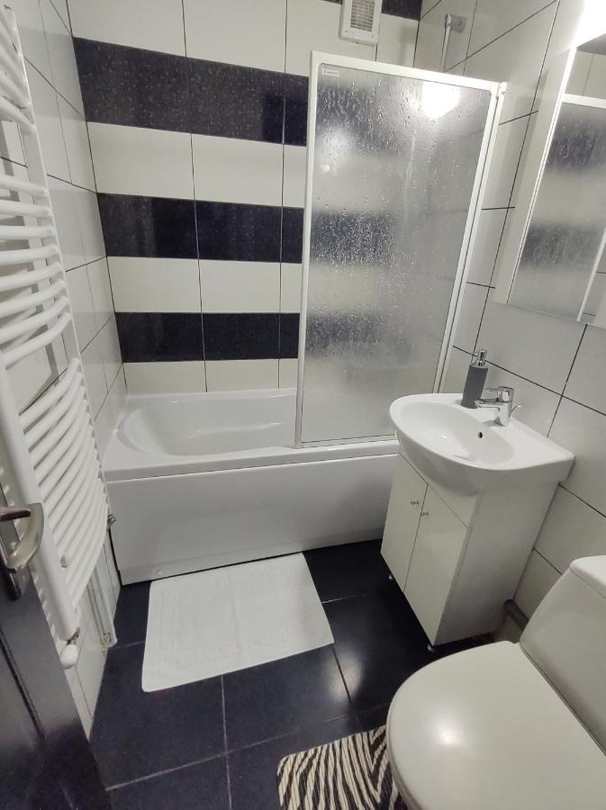 Creative Apartment Baia Mare Eksteriør bilde