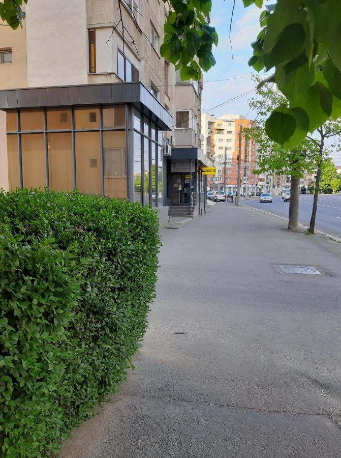 Creative Apartment Baia Mare Eksteriør bilde